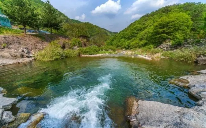 Gapyeong Petit Cabin Pension - Misafir Tesisleri ve Hizmetleri