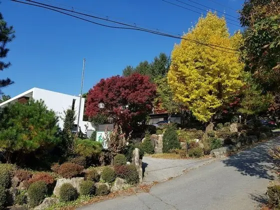 Gapyeong Solnanggu Pension