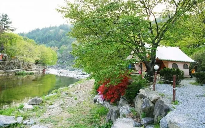 Gapyeong Yongsu Greenland Glamping - Misafir Tesisleri ve Hizmetleri