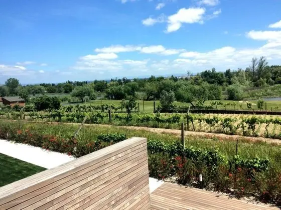 Garça Real Hotel & SPA - Dış Mekan