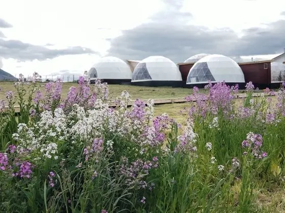 Garden Domes