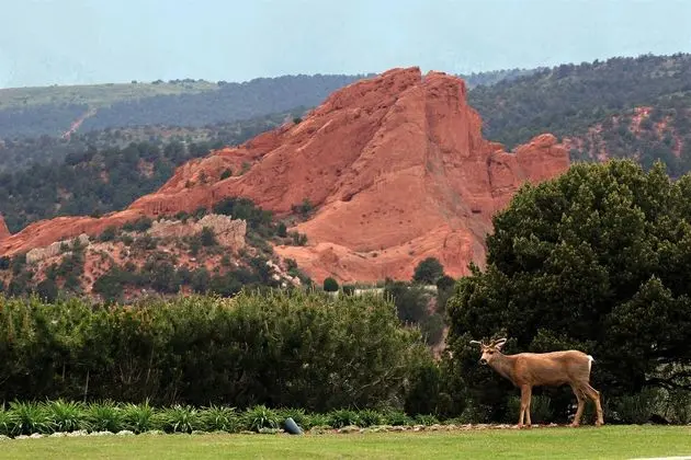 Garden of the Gods Club and Resort