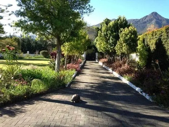 The Garden Villa Guesthouse - Dış Mekan