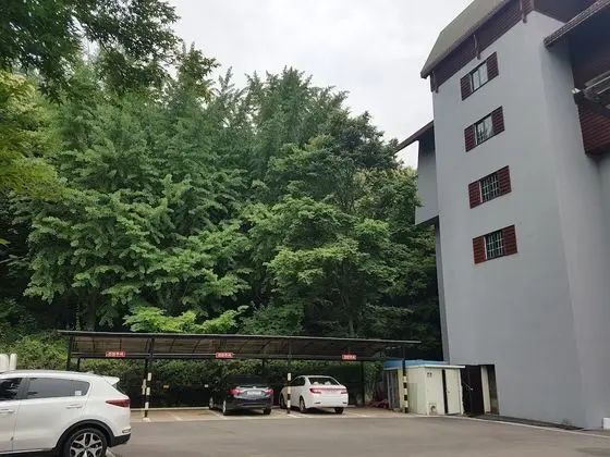 Garden Hotel