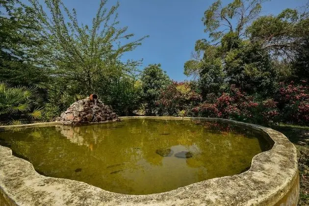 Garden River - Campsite - Dış Mekan