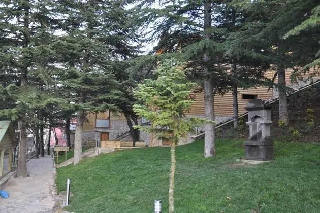 Garden Termal Otel - Manzara / Peyzaj