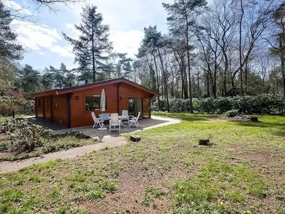 Garden View Bungalow in Holten near Forest