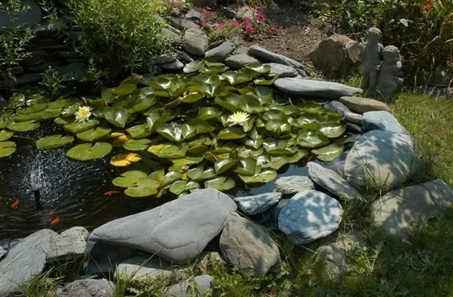 Gardenview Bed and Breakfast - Dış Mekanlar