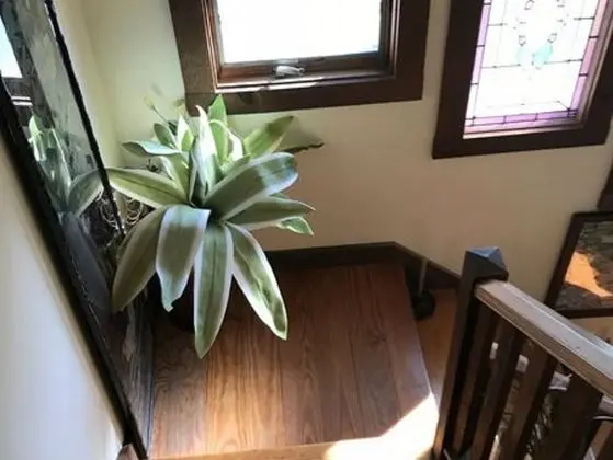 Gardenview Bed and Breakfast - Lobi