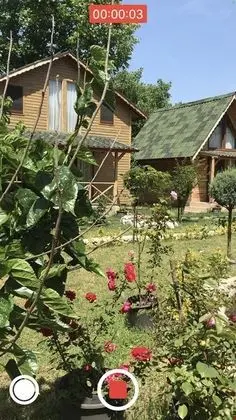 Gardenya Bungalov