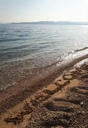 Gari - 5 m From sea - H - Plaj