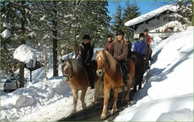 Hotel Garni Haus Alpine - Dış Mekan