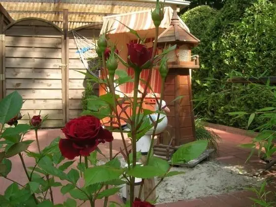 Hotel Garni Nolting - Dış Mekan