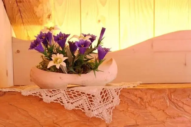 Hotel Garni Plueme - İç Mekan