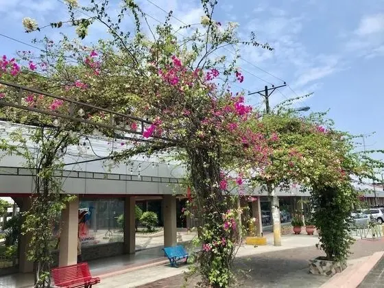 Villa Garza Inn