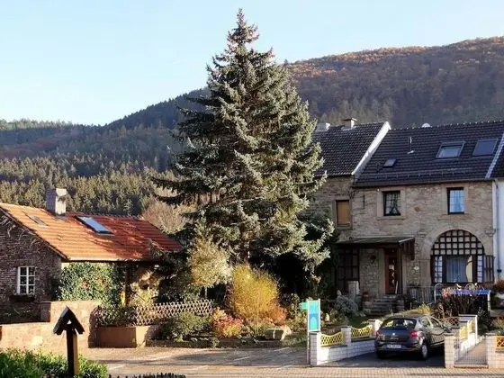 Gästehaus Burg Molbach - Dış Mekan