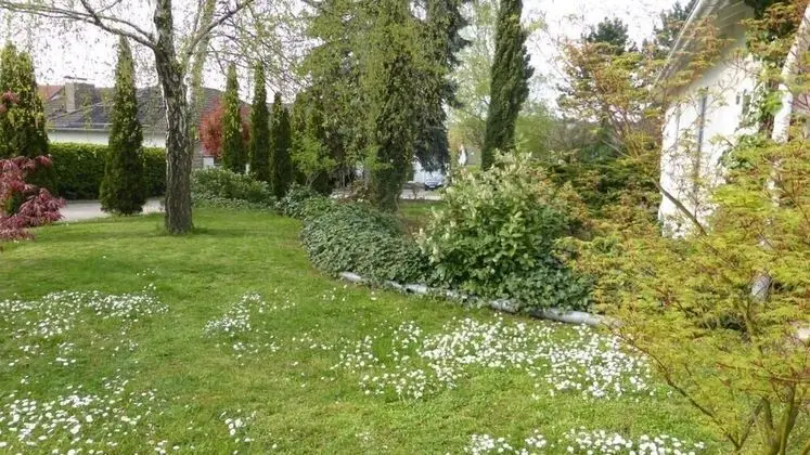 Gästehaus Eschment - Dış Mekan