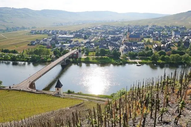 Gästehaus Moselkloster - Oda Manzaraları