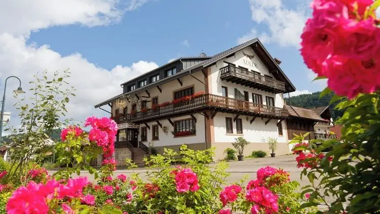 Hotel Gasthaus Adler - Dış Mekan