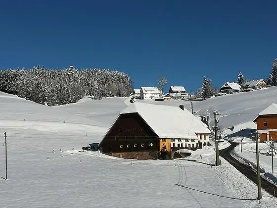 Gasthaus Pension Donishäusle - Dış Mekan
