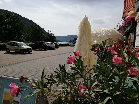 Gasthaus Zur Traube - Yerinde Yemek