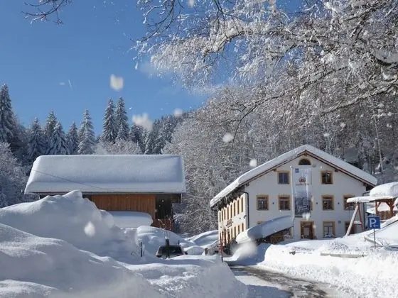 Gasthof Fallmuhle - Dış Mekan