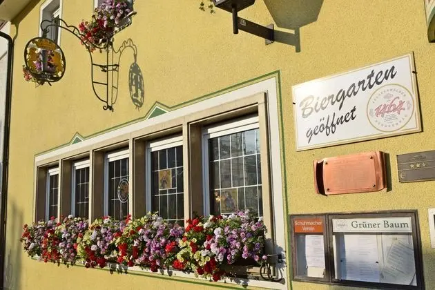 Hotel & Gasthof Grüner Baum - 1