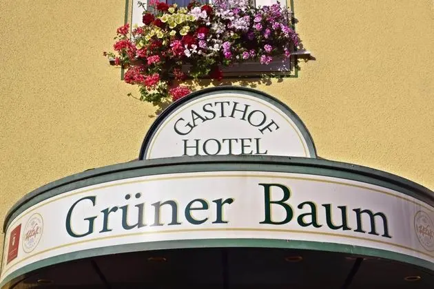 Hotel & Gasthof Grüner Baum - Dış Mekan