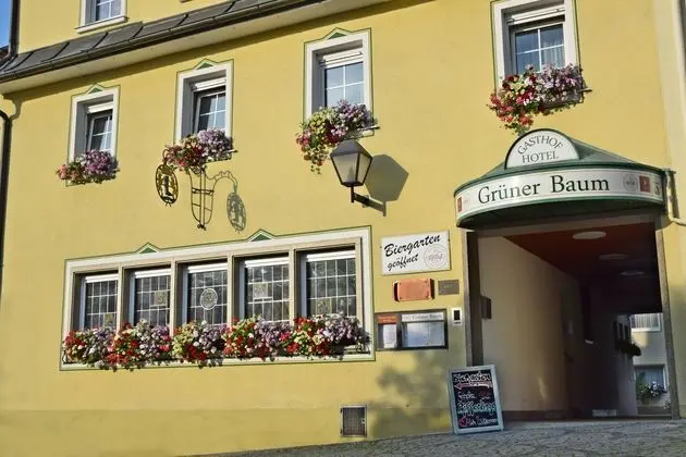 Hotel & Gasthof Grüner Baum - Öne Çıkan Resim