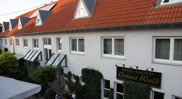 Hotel Gasthof Grüner Wald - Genel