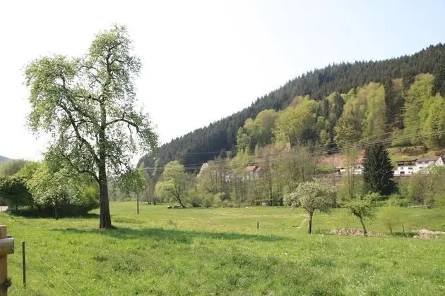 Gasthof Pension Zur Traube