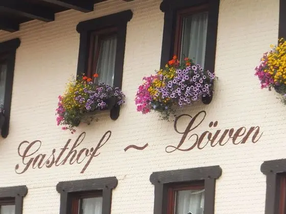 Gasthof zum Löwen Enzklösterle - Dış Mekan