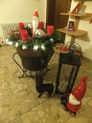 Gasthof zum Löwen Enzklösterle - Lobi