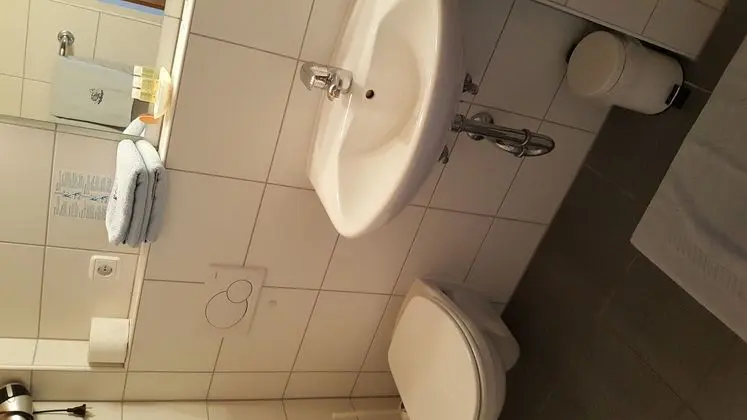 Hotel-Gasthof zum Schwan - Guest House