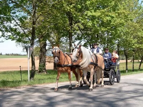 Gasthof Zur Post - Dış Mekan