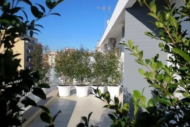 Gatto Bianco Le Terrazze