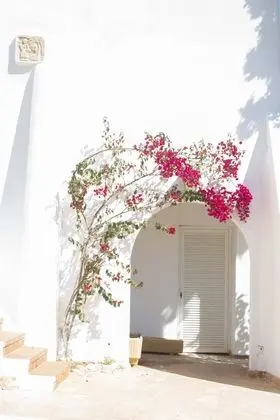 Gavimar Ariel Chico Hotel and Apartments - Oda