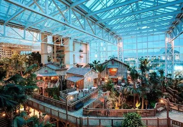 Gaylord Palms Resort & Convention Center - Yeme / İçme