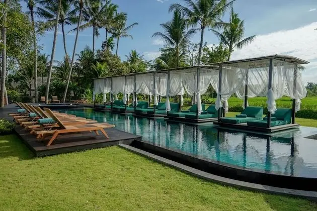 GDAS Bali Health and Wellness Resort - Havuz