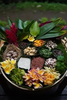 GDAS Bali Health and Wellness Resort - Spa