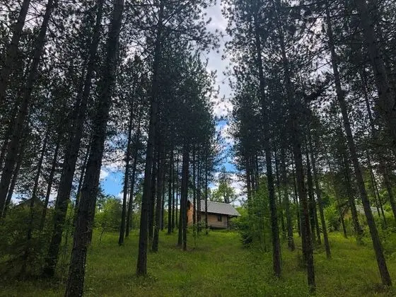 Village Huttopia Lanmary - Dış Mekan