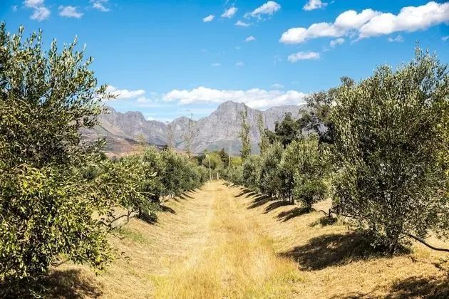 Village Lodge Paarl