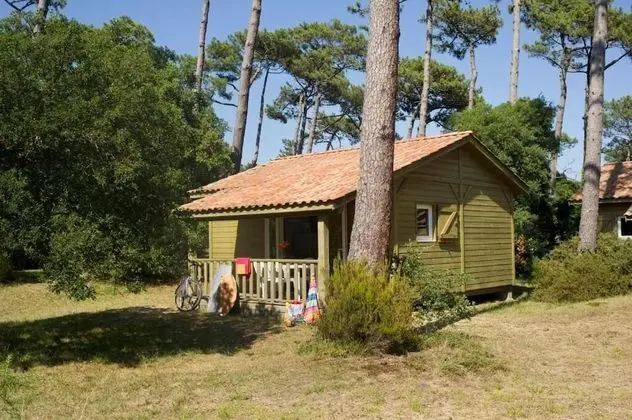 Village Vacances La Forêt des Landes - Oda