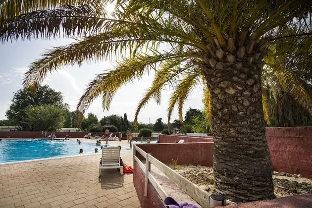 Village Vacances Les Abricotiers by Popinns - Havuz