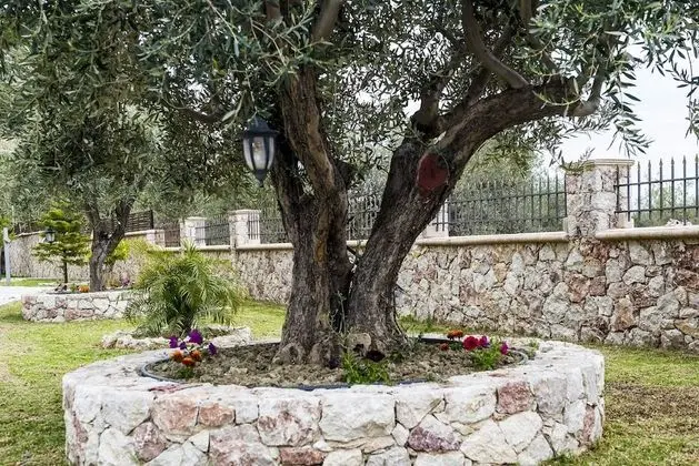 Village View Afantou - Dış Mekan