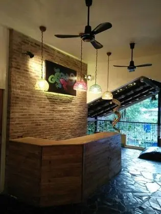 Gecko Republic Jungle Hostel - Lobi
