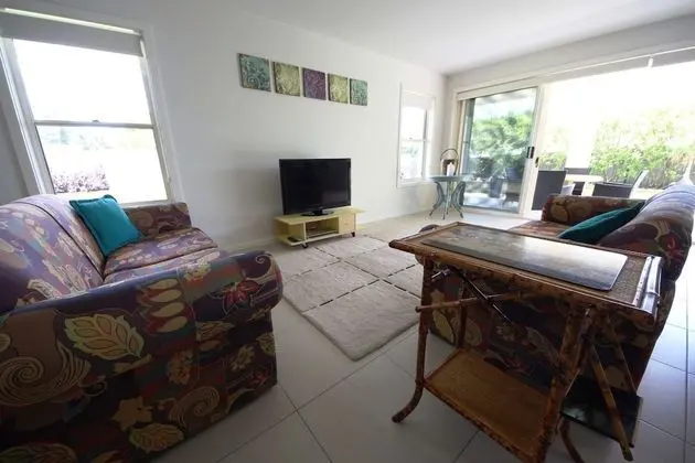 Geckos at South West Rocks