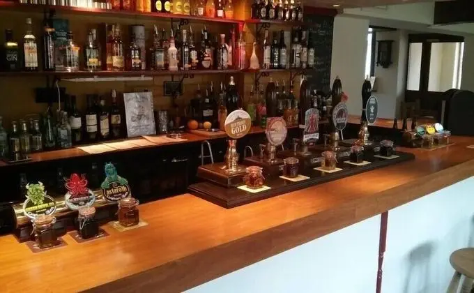 The Geese and Fountain - Bar