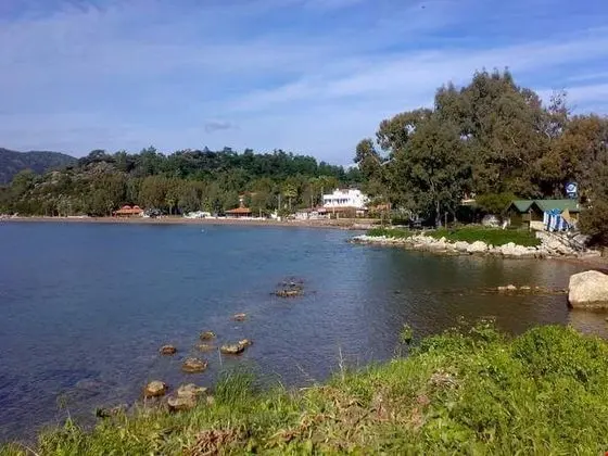 Gelincik Pansiyon