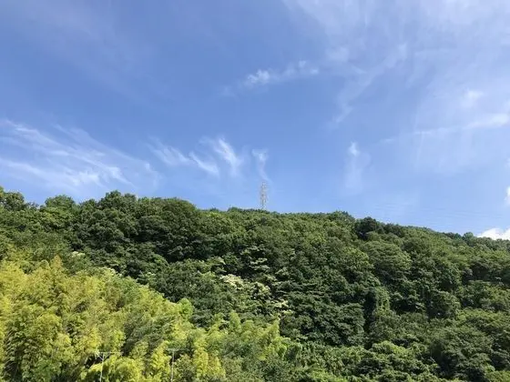 Hotel Gendairakuen Isehara - Adults Only - Dış Mekan